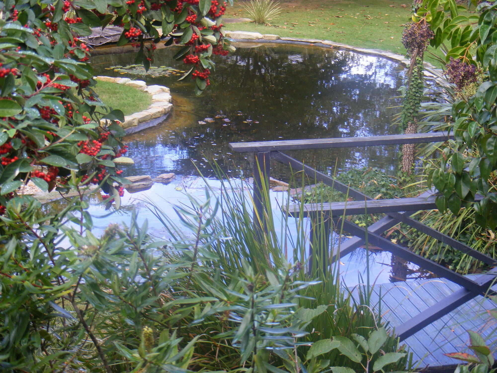 Weeroona Bed And Breakfast Rye Exterior foto